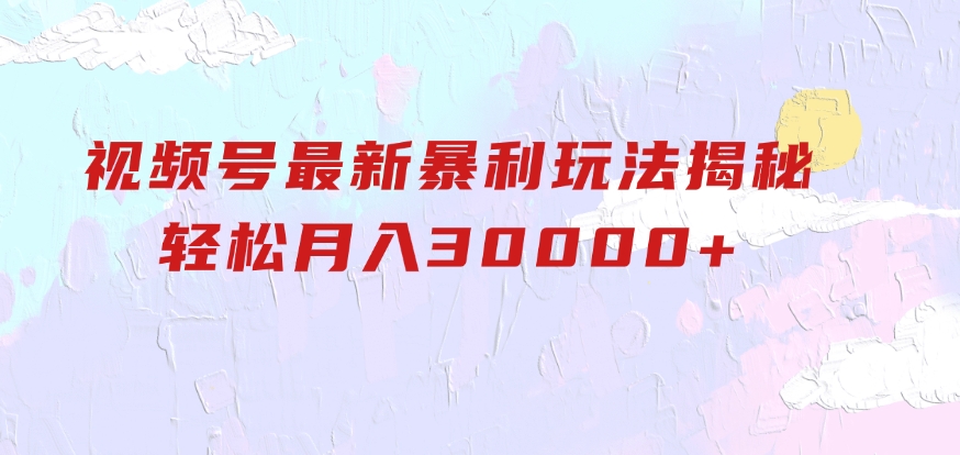 视频号最新暴利玩法揭秘，轻松月入30000+-大磊资源网