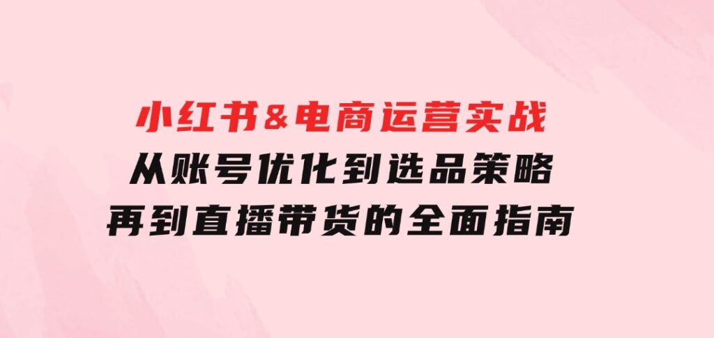 小红书&电商运营实战：从账号优化到选品策略，再到直播带货的全面指南-大磊资源网