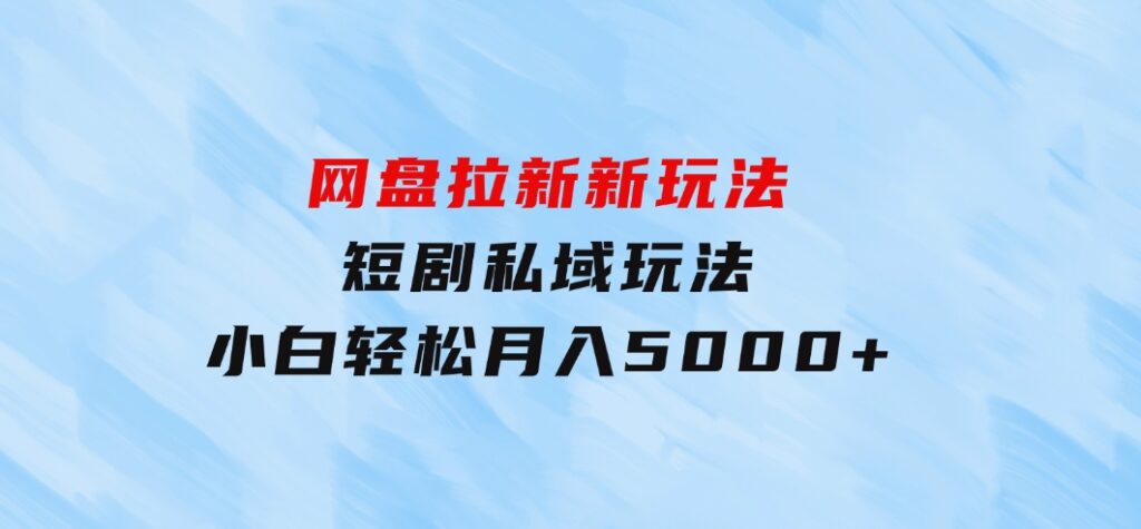 网盘拉新新玩法：短剧私域玩法，小白轻松月入5000+-大磊资源网