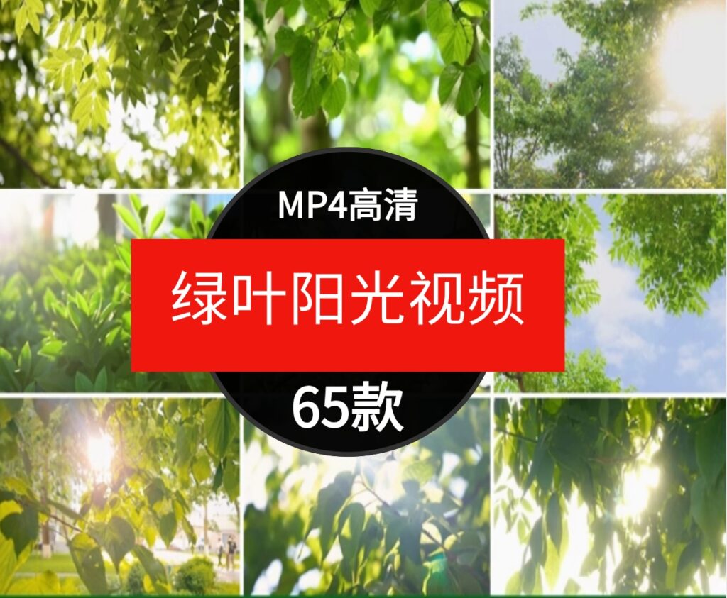 绿色小清新阳光穿透树叶自然美景森林治愈情感背景短片4K视频素材-大磊资源网