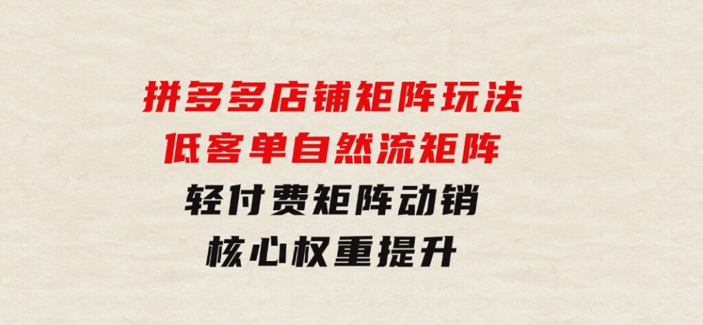 拼多多店铺矩阵玩法：低客单自然流矩阵/轻付费矩阵动销/核心权重提升-大磊资源网