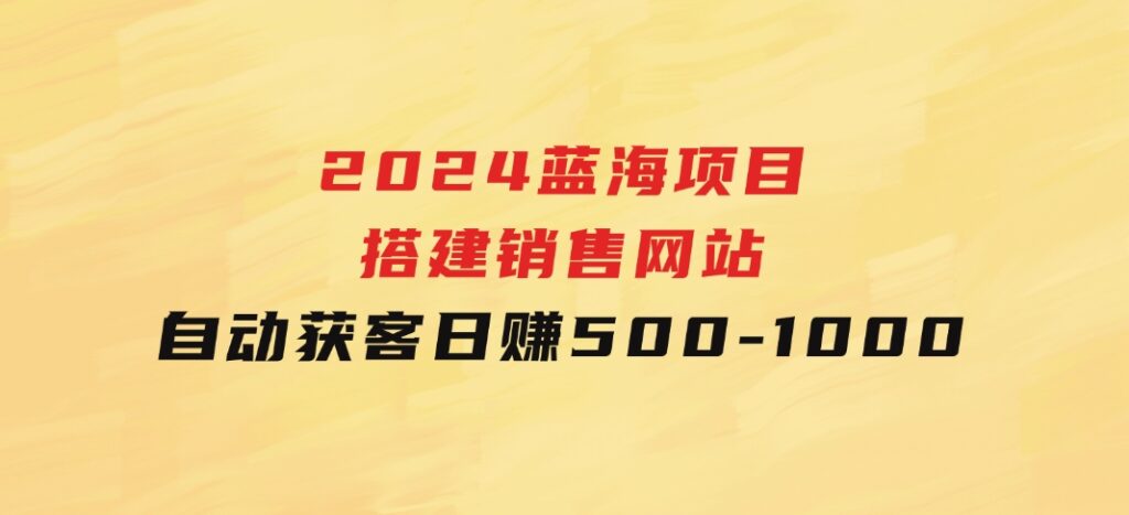 2024蓝海项目，搭建销售网站，自动获客，日赚500-1000-大磊资源网