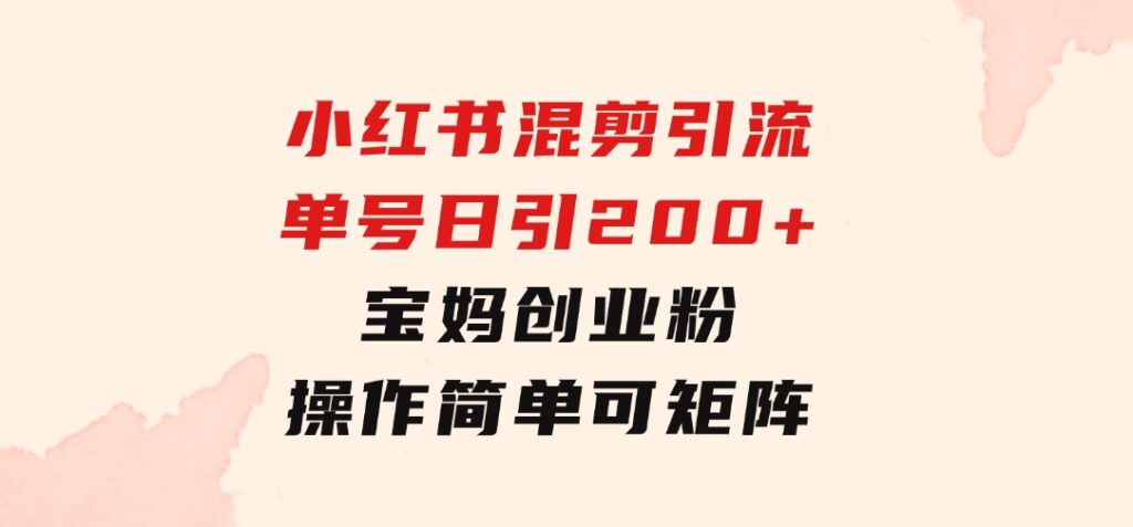 小红书混剪引流，单号日引200+宝妈创业粉，操作简单可矩阵-大磊资源网
