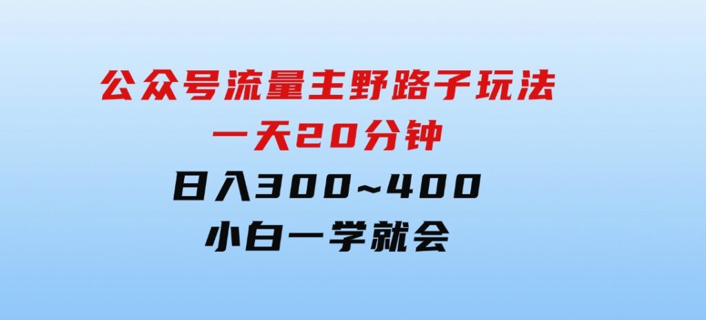 公众号流量主野路子玩法，一天20分钟，日入300~400，小白一学就会-大磊资源网