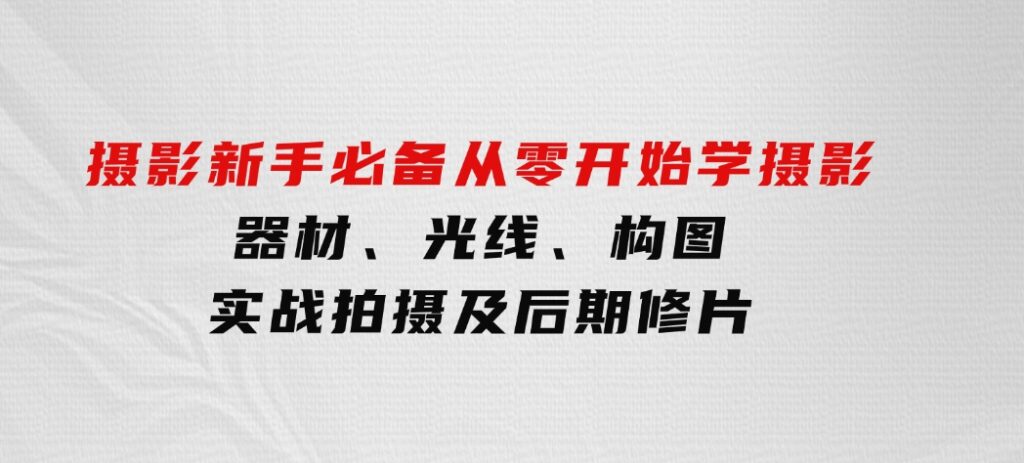 摄影新手必备：从零开始学摄影，器材、光线、构图、实战拍摄及后期修片-大磊资源网