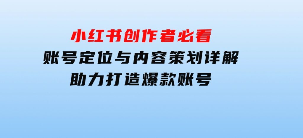 小红书创作者必看：账号定位与内容策划详解，助力打造爆款账号-大磊资源网