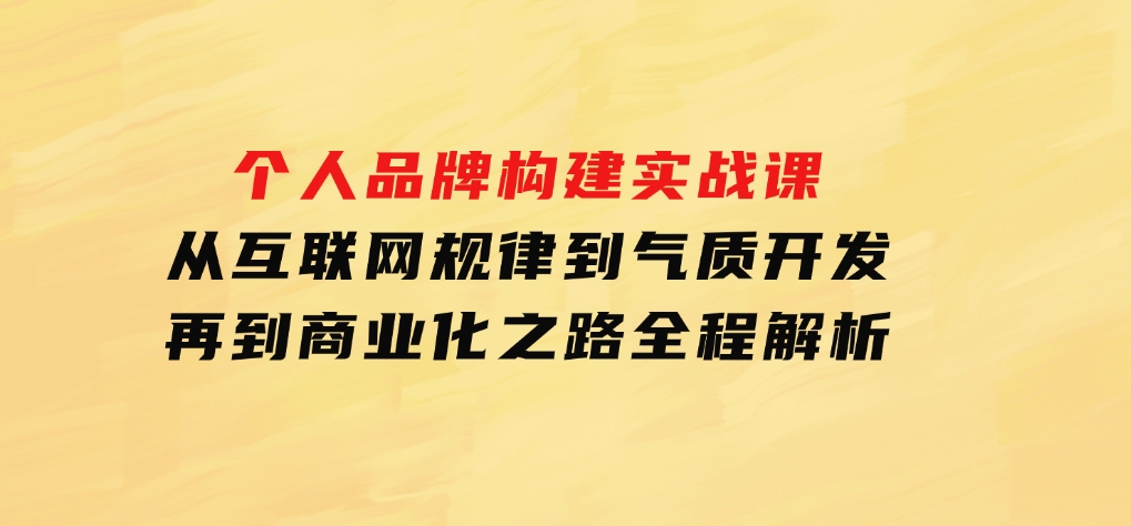 个人品牌构建实战课：从互联网规律到气质开发，再到商业化之路，全程解析-大磊资源网