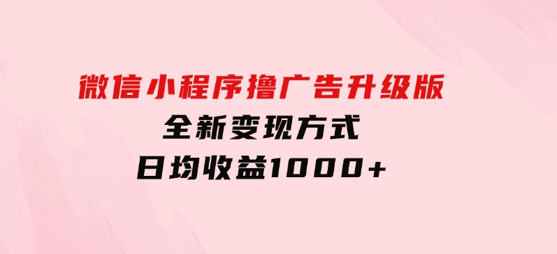 微信小程序撸广告升级版，全新变现方式，日均收益1000+-大磊资源网
