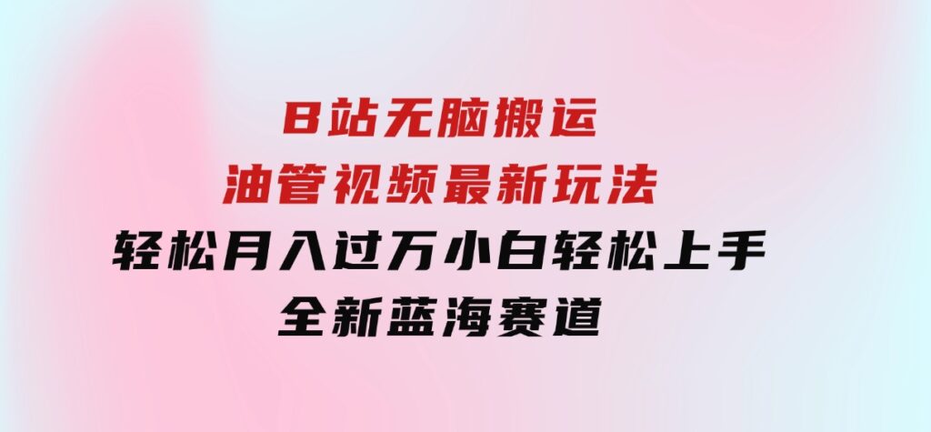B站无脑搬运油管视频最新玩法，轻松月入过万，小白轻松上手，全新蓝海赛道-大磊资源网