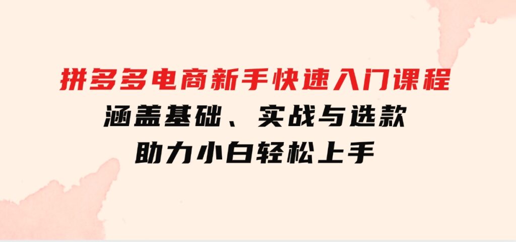 拼多多电商新手快速入门课程：涵盖基础、实战与选款，助力小白轻松上手-大磊资源网