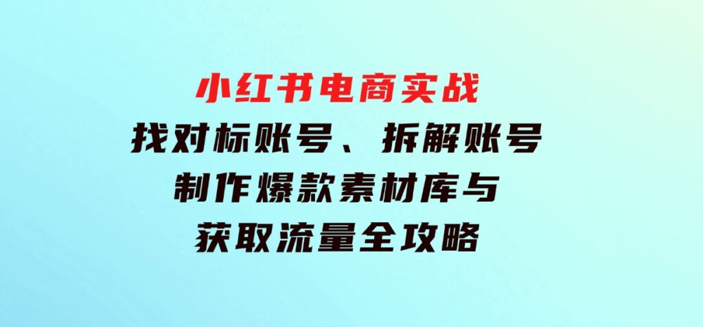 小红书电商实战：找对标账号、拆解账号、制作爆款素材库与获取流量全攻略-大磊资源网