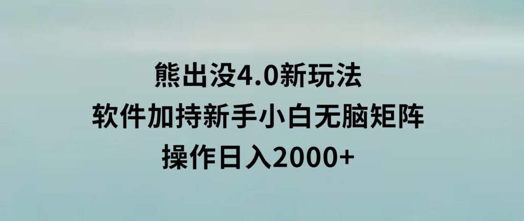熊出没4.0新玩法，软件加持，新手小白无脑矩阵操作，日入2000+-大磊资源网