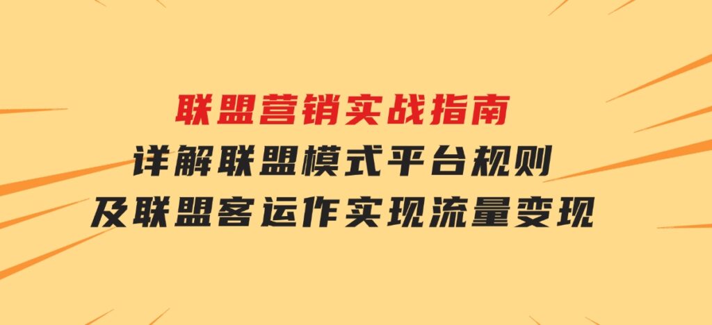 联盟营销实战指南，详解联盟模式、平台规则及联盟客运作，实现流量变现-大磊资源网