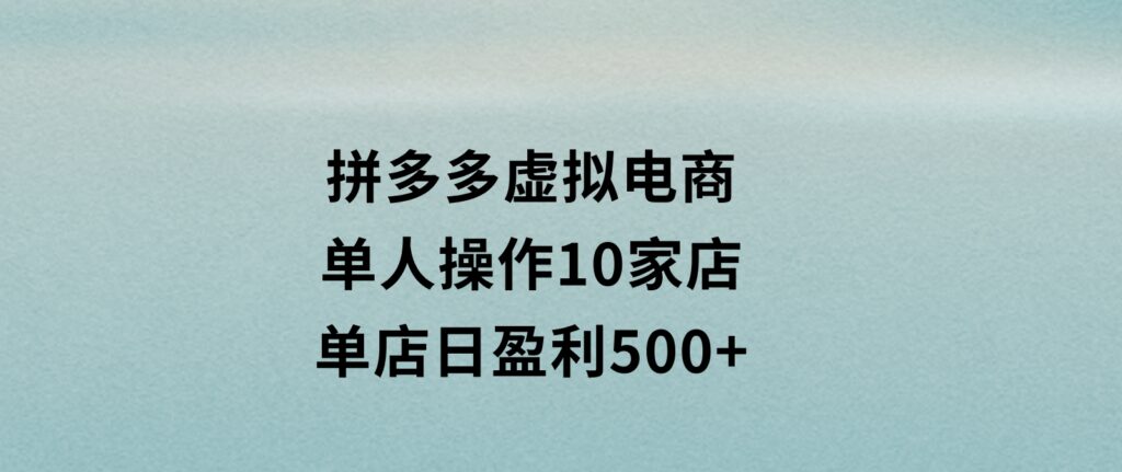 拼多多虚拟电商，单人操作10家店，单店日盈利500+-大磊资源网