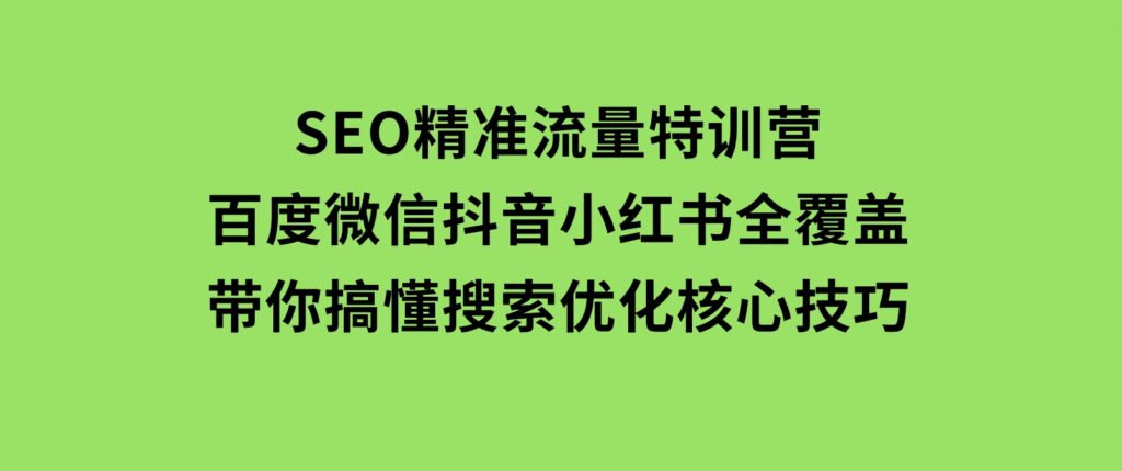 SEO精准流量特训营，百度微信抖音小红书全覆盖，带你搞懂搜索优化核心技巧-大磊资源网
