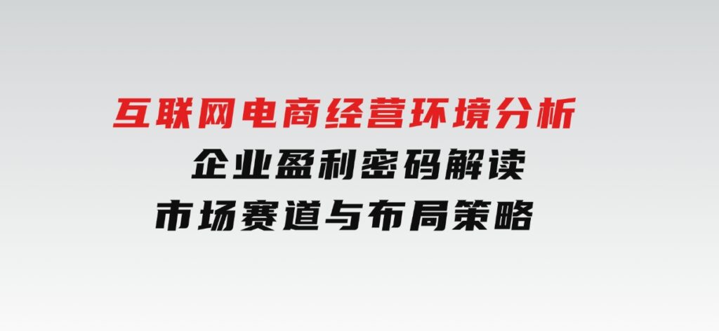 互联网电商经营环境分析,企业盈利密码解读,市场赛道与布局策略-大磊资源网