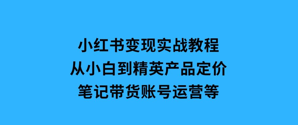 小红书变现实战教程：从小白到精英，产品定价，笔记带货，账号运营等-大磊资源网