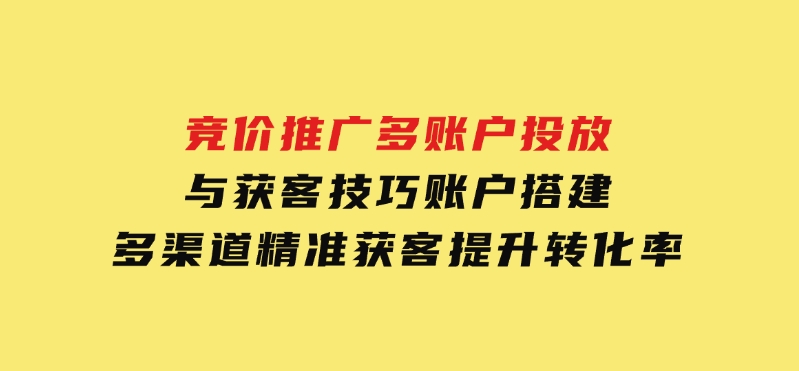 竞价推广多账户投放与获客技巧，账户搭建，多渠道精准获客，提升转化率-大磊资源网