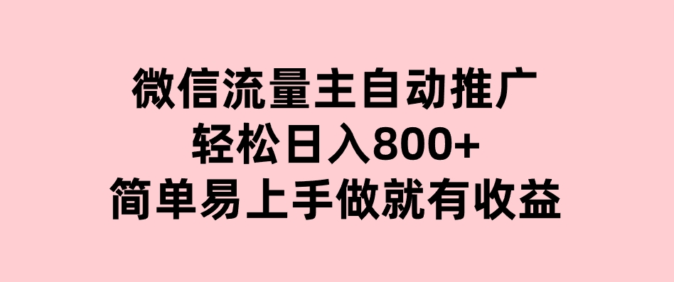 微信流量主自动推广，轻松日入800+，简单易上手，做就有收益。-大磊资源网
