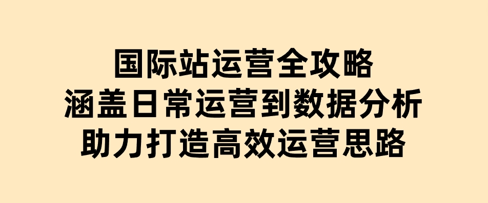 国际站运营全攻略：涵盖日常运营到数据分析，助力打造高效运营思路-大磊资源网
