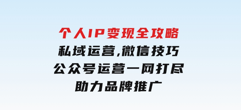 个人IP变现全攻略：私域运营,微信技巧,公众号运营一网打尽,助力品牌推广-大磊资源网