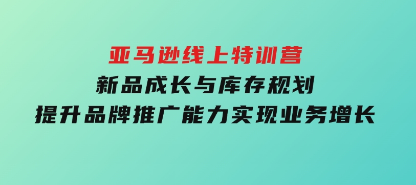 亚马逊线上特训营，新品成长与库存规划，提升品牌推广能力，实现业务增长-大磊资源网