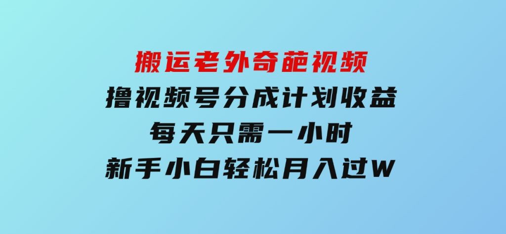 搬运老外奇葩视频，撸视频号分成计划收益，每天只需一小时，新手小白轻松月入过W-大磊资源网
