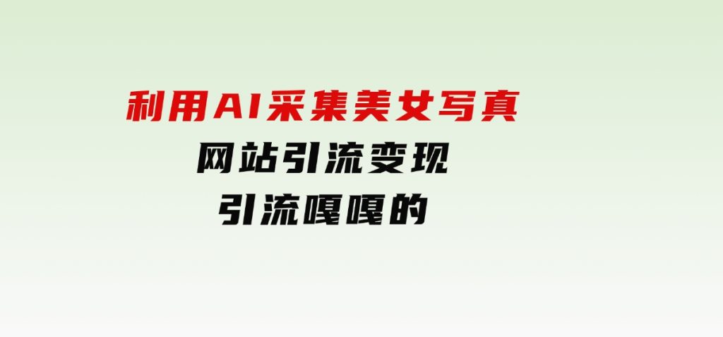 利用AI采集美女写真网站引流变现，引流嘎嘎的-大磊资源网