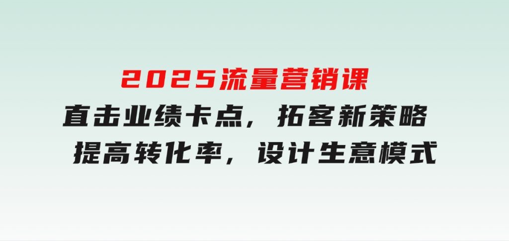 2025流量营销课：直击业绩卡点,拓客新策略,提高转化率,设计生意模式-大磊资源网