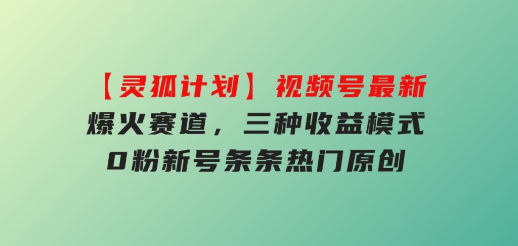 【灵狐计划】视频号最新爆火赛道，三种收益模式，0粉新号条条热门原创-大磊资源网