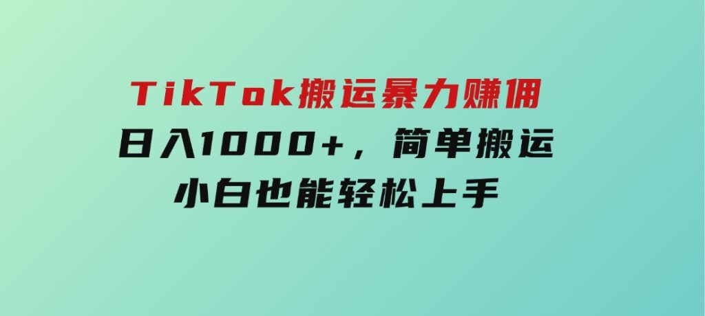 TikTok搬运暴力赚佣，日入1000+，简单搬运，小白也能轻松上手-大磊资源网