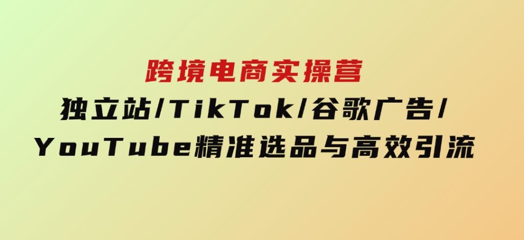 跨境电商实操营：独立站/TikTok/谷歌广告/YouTube，精准选品与高效引流-大磊资源网