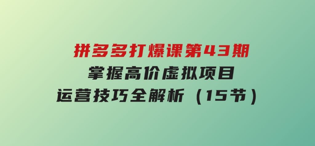 拼多多打爆课第43期，掌握高价虚拟项目，运营技巧全解析（15节）-大磊资源网