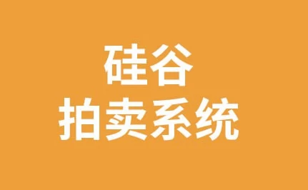 区块链项目：硅谷拍卖系统–带源码课件-大磊资源网
