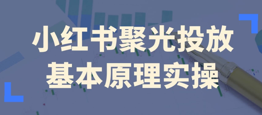 小红书聚光投放基本原理实操-大磊资源网