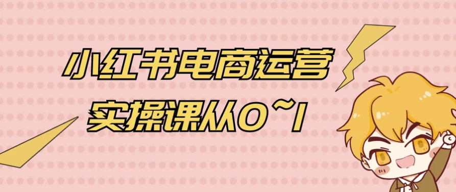 小红书电商运营实操课从0~1-大磊资源网