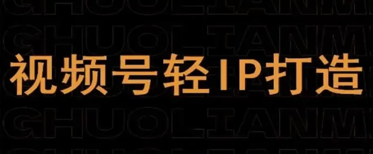 视频号线上课程，视频号轻IP打造-大磊资源网