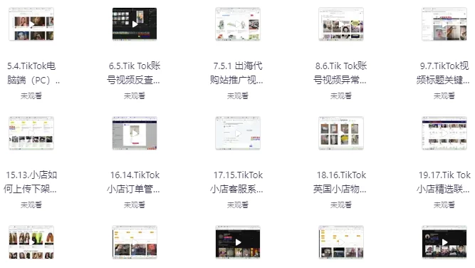 TikTok跨境短视频零基础到精通网赚变现课-大磊资源网