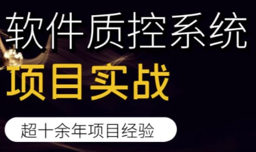 软件质控系统项目实战-大磊资源网