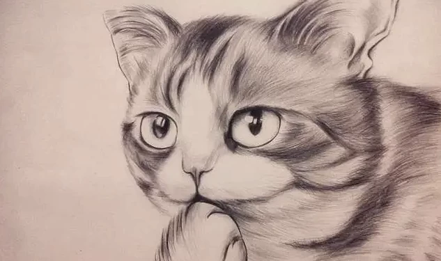 素描零基础直达四级课程-大磊资源网