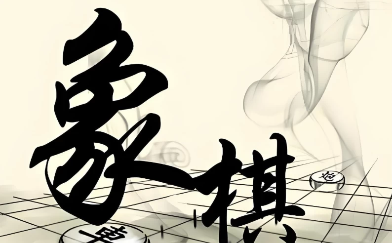 少年得到《0基础少年象棋课》-大磊资源网