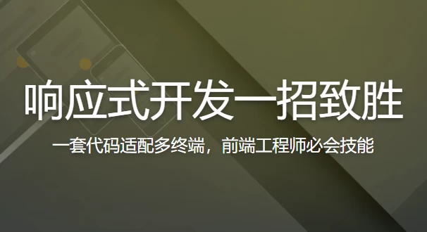 响应式开发一招致胜-大磊资源网