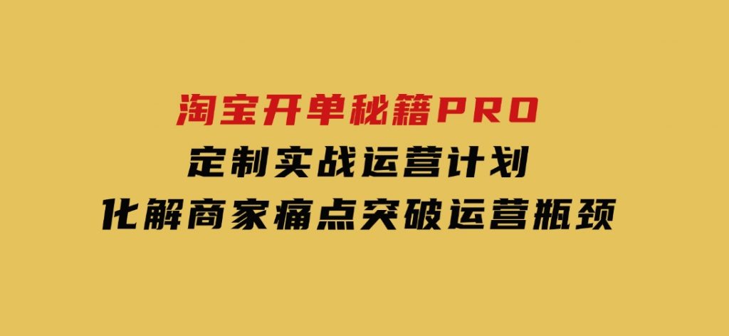 淘宝开单秘籍PRO，定制实战运营计划，化解商家痛点，突破运营瓶颈-大磊资源网