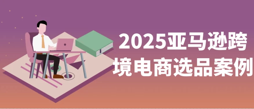 2025亚马逊跨境电商选品案例-大磊资源网