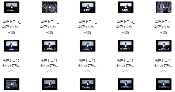 南禅七日（视频讲座+音频+文档21集）-大磊资源网
