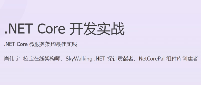 NETCore开发实战-大磊资源网