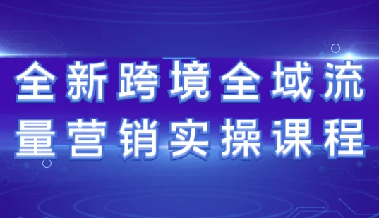 全新跨境全域流量营销实操课程-大磊资源网