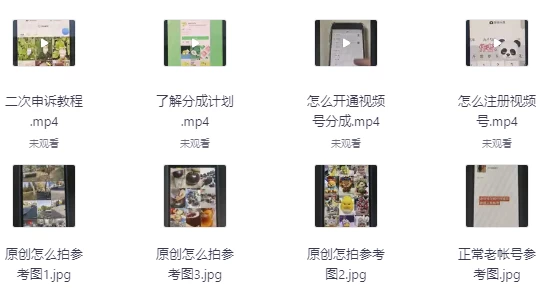 视频号分成计划，发视频即享商家广告收益-大磊资源网