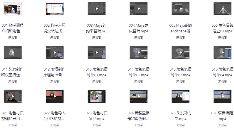 AI虚拟数字人智能体-UE5实时语音交互2025–带素材-大磊资源网