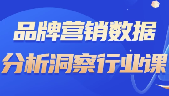 品牌营销数据分析洞察行业课-大磊资源网